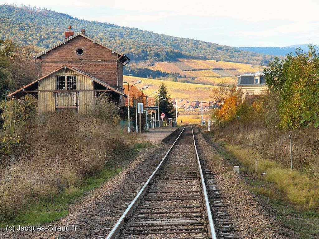 2005-11-01 16-17-40 octobre 221,9mm 1_182_eme f4,5(x1024).jpg